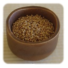 Goma-Sesam