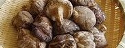 Hoshi-Shiitake