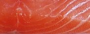 lachs