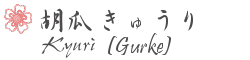 Gurke